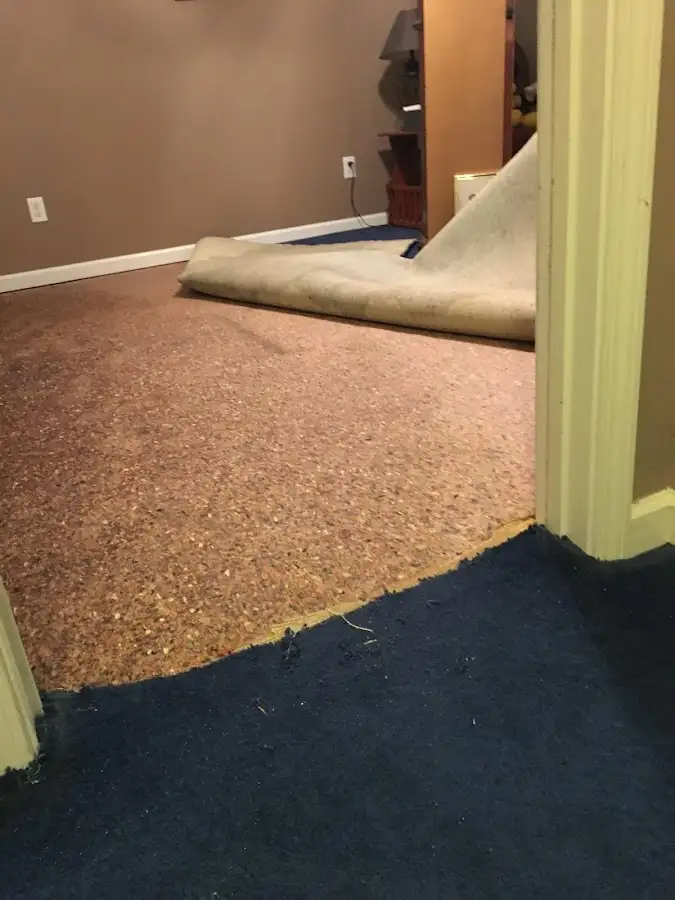 Carpet pad removal revealing water damage during Water Mitigation Services in Roanoke Rapids