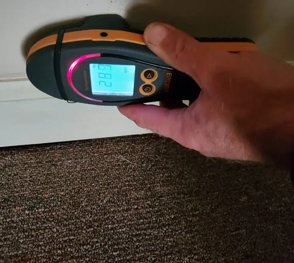 Moisture detection at baseboard during Sewage Cleanup & Sanitation in Roanoke Rapids